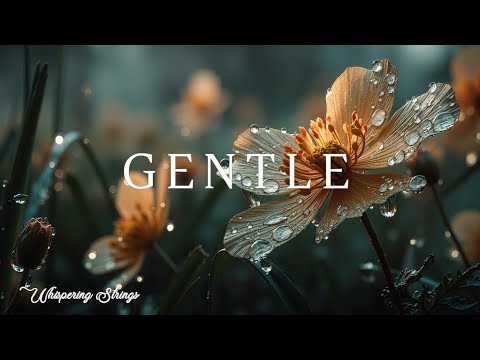 Видео: Спокойная Лесная Инструментал | Для Медитации и Спокойного Фокуса