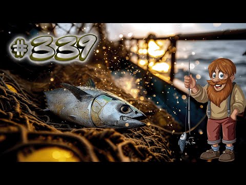 Видео: РР4 | Fisher Online 🎮 339