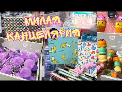 Видео: BACK TO SCHOOL 2021/ МИЛАЯ КАНЦЕЛЯРИЯ Modi, ZAKKA,Леонардо 🍊