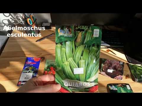 Видео: Что такое бамия и с чем её едят?!