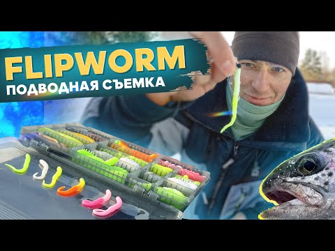 Видео: FlipWorm. Подводная съемка. Рыбалка с #OnlySpin