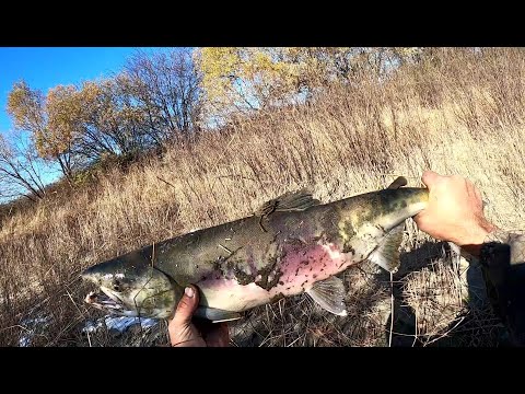 Видео: Трёхдневная рыбалка на резинку. (День 2.) Рыбное эльдорадо .