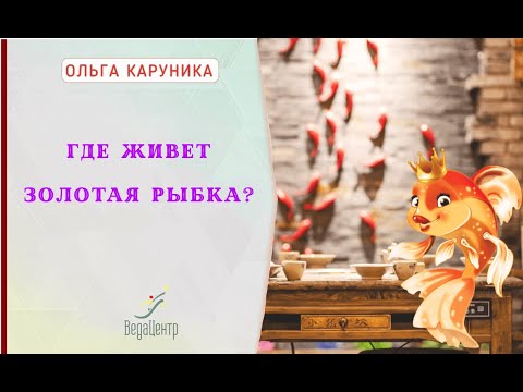 Видео: Где живет золотая рыбка? Запись Инстаграм-эфира.