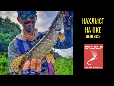 Видео: Нахлыст на Оке . Август 2023