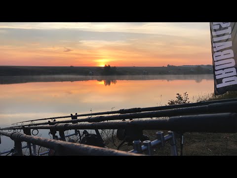 Видео: Золотая осень на водоёме Гранный. Турнир. Карпфишинг