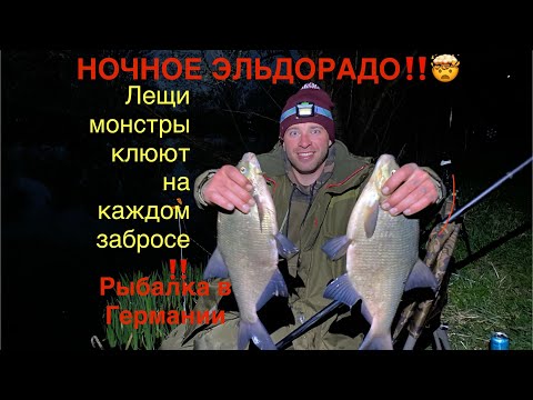 Видео: ЛОВЛЯ КРУПНОГО РЕЧНОГО ЛЕЩА НА ФИДЕР!РЫБАЛКА В ГЕРМАНИИ🇩🇪ЛЕЩ СХОДИТ С УМА ОТ ЭТИХ ДОБАВОК! #фидер