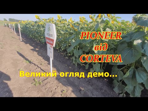 Видео: Великий огляд демо поля PIONEER