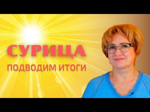 Видео: Сурица. Итоги.