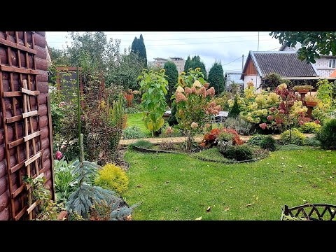Видео: Дачный сезон не закрыт. Трудимся, пока погода позволяет🍁🍂🍁#дачныехлопоты