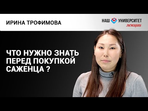 Видео: Жизнь дерева – Ирина Трофимова