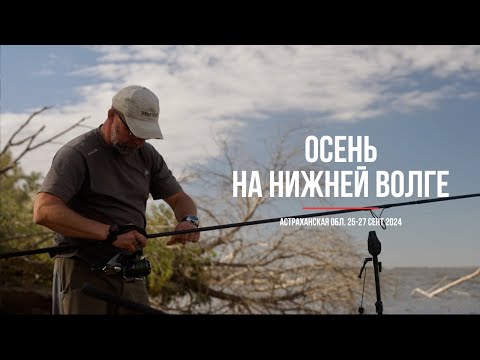 Видео: Короткий выезд на Нижнюю Волгу. Ловля сазана осенью.