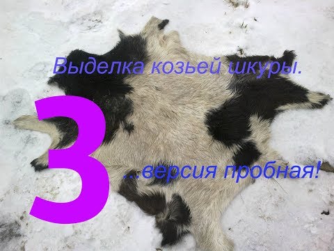 Видео: Выделка козьей шкуры ,часть заключительная!