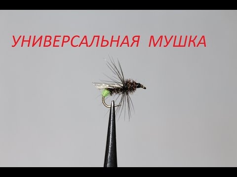 Видео: Хариус,окунь,чебак,универсальная мушка