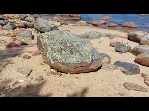 Видео: Гуляем по кемпингу Лэесте