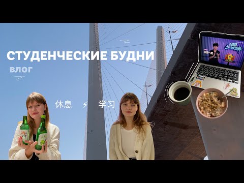 Видео: влог | кафе во Владивостоке, пары и конкурс по китайскому языку