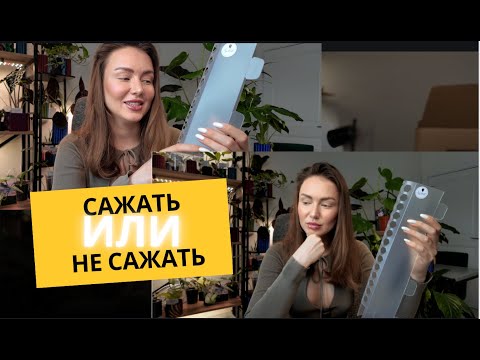 Видео: #17 ОПОРЫ для растений + вынужденная ПЕРЕСАДКА