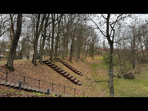 Видео: Прогулка с Ксенией в прямом эфире!