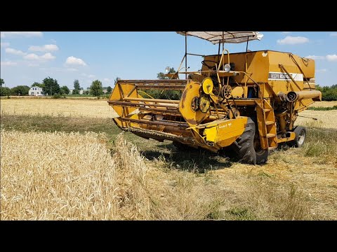 Видео: Уборка пшеницы Sampo 500