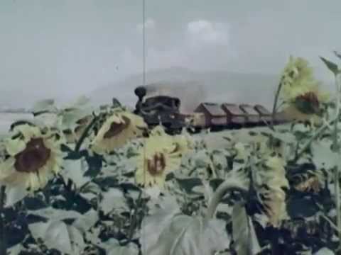 Видео: Возот (Ќирчо) на пареа „Охрид експрес“, документарец од 1972 година