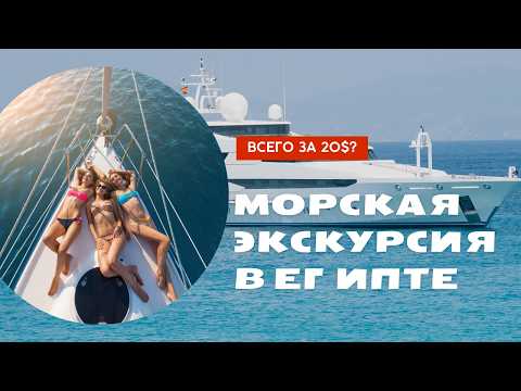 Видео: Дайвинг для новичков в Египте: стоит ли пробовать и сколько это стоит? экскурсия Хургада Египет 2025
