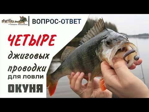 Видео: Джиговые проводки для крупного окуня. Вопрос-ответ