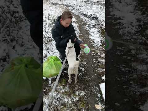 Видео: Утро с Линдой 🥰