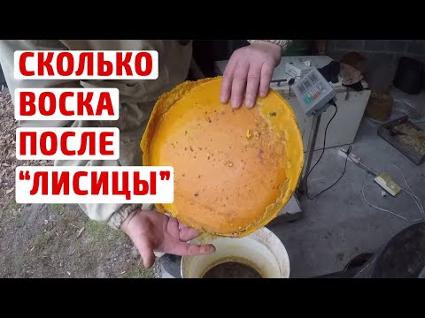 Видео: Перетопка воска. Центрифуга и воскопресс Лисица повышение выхода воска.