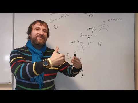 Видео: Эгоизм и любовь к себе. Как разумно выстроить границы с другими людьми.