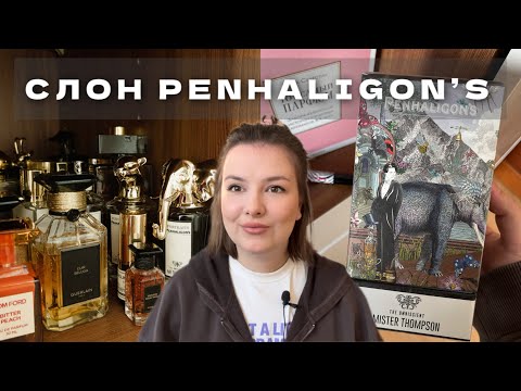 Видео: ГОД МЕЧТАЛА ОБ ЭТОМ АРОМАТЕ! ОБЗОР The Omniscient Mr Thompson Penhaligon's | ВСЯ МОЯ КОЛЛЕКЦИЯ ДУХОВ