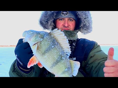 Видео: ЗИМНЯЯ РЫБАЛКА НА БАЛАНСИР! ОКОНИ КЛЮЮТ ОДИН ЗА ОДНИМ