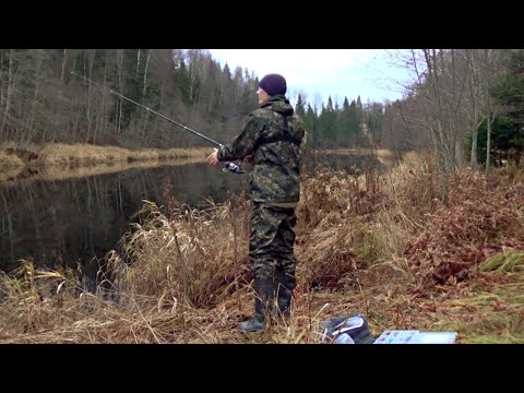 Видео: Ночная рыбалка. Налим на вьюна. Рыбалка в Ленинградской области. 2020.