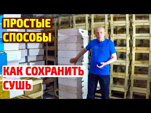 Видео: Как ЭФФЕКТИВНО ХРАНИТЬ СУШЬ от восковой моли? Чем обработать рамки от восковой моли?
