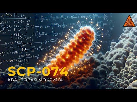 Видео: SCP 074 — «Квантовая мокрица»