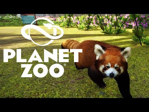 Видео: МАЛЫЕ ПАНДЫ #6 PLANET ZOO ПРОХОЖДЕНИЕ