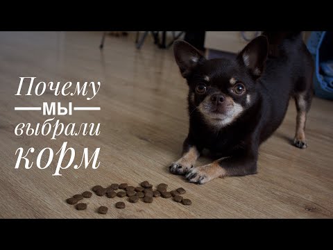 Видео: ПОЧЕМУ УШЛИ С НАТУРАЛКИ