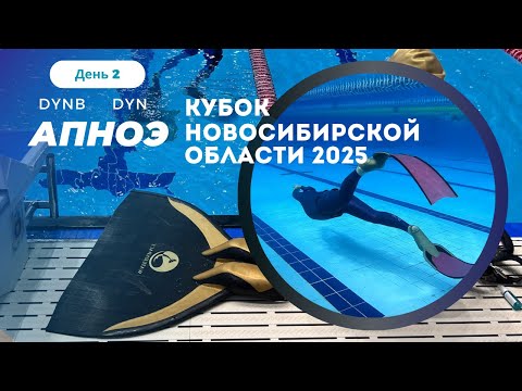 Видео: Соревнования по фридайвингу - Кубок Новосибирской области 2025 апноэ | день 2 | DYN DYNB