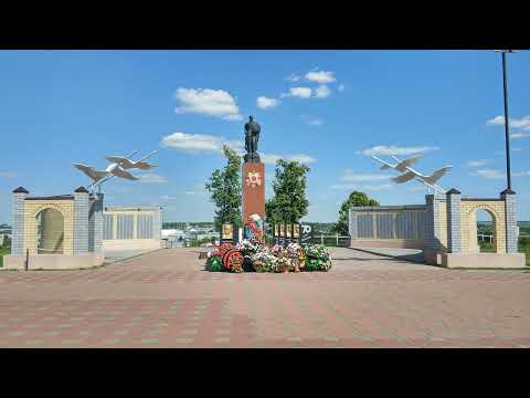 Видео: Лебедянь  - Владимир Мещеряков(С.Сериков)