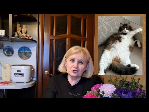 Видео: VLOG‼️Шопинг в Калининграде Купила палантин с котиками🐱#калининград  #шопинг #море #лето2024