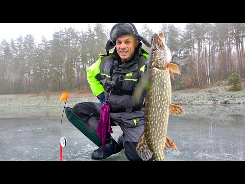 Видео: Рыбалка огонь! Взял девушку и пошла жара! Ловили и жарили-жарили и ловили! +КОНКУРС