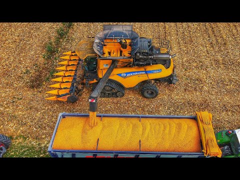 Видео: CORN THRESHING 2023 Сборник BEST OF NEW HOLLAND JOHN DEERE FENDT CASE IH