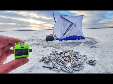 Видео: ДВОЕ СУТОК НА ЛЬДУ!Ловля рипуса на озере Увильды. Как ловить рипуса?