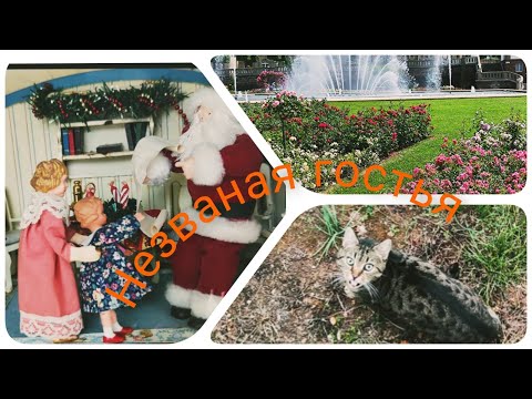 Видео: Фломаркт/ Прогулка по городу Бад Киссинген🦆⛲🪻🌺/ Роклетим 🥩на балконе и пришла гостья