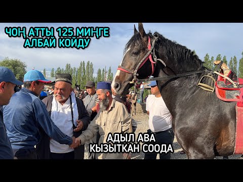 Видео: НООКАТ ЖЫЛКЫ БАЗАРЫ СООДА ЖҮРҮП БАШТАДЫ 👍🏻👍🏻👍🏻 23_06_2024
