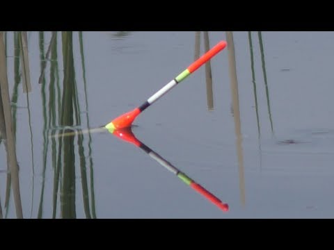 Видео: Рыбалка. Ловля карася после нереста и при каких облаках плохо клюет