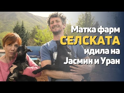 Видео: Јасмин и Уран избегаа од центарот на градот во селото Горна Матка