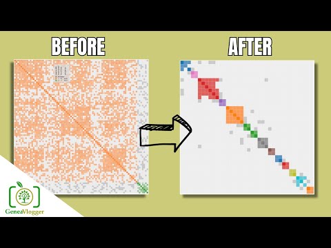 Видео: Новейший инструмент ДНК на GEDmatch (без музыки)
