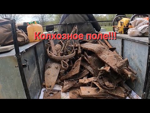 Видео: Траки,лемеха.Копаем на колхозном поле.Металлокоп на каракате.