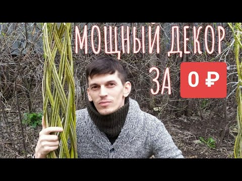 Видео: ПЛЕТЁНОЕ ДЕРЕВО из ОБЫЧНОЙ ивы! МОЩНЫЙ ДЕКОР за 0 рублей!