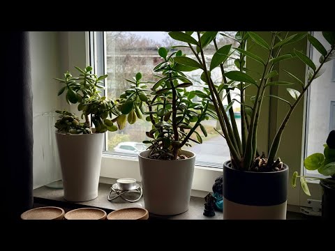 Видео: Скучный🇸🇪Стрим