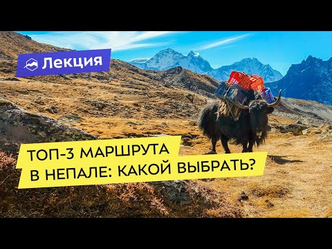 Видео: Топ-3 маршрута в Непале: какой выбрать?